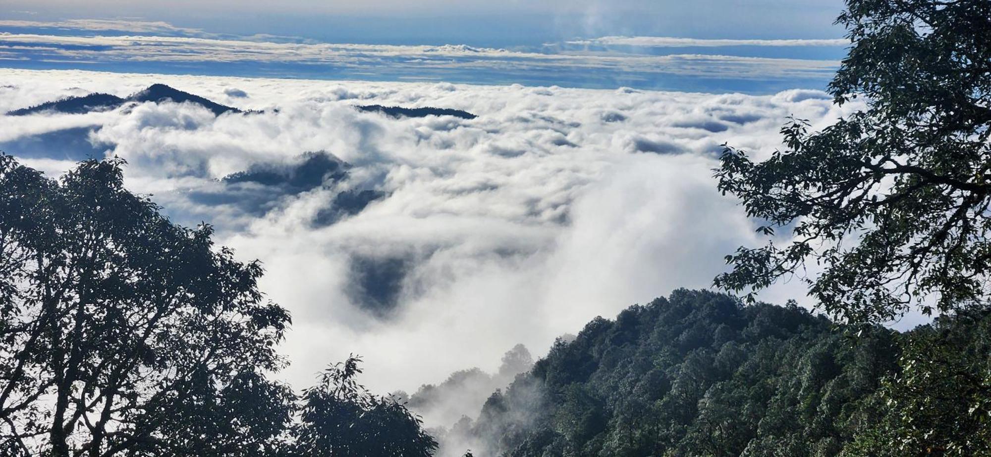 Simba Jungle Lodge, Binsar Wildlife Sanctuary Luaran gambar