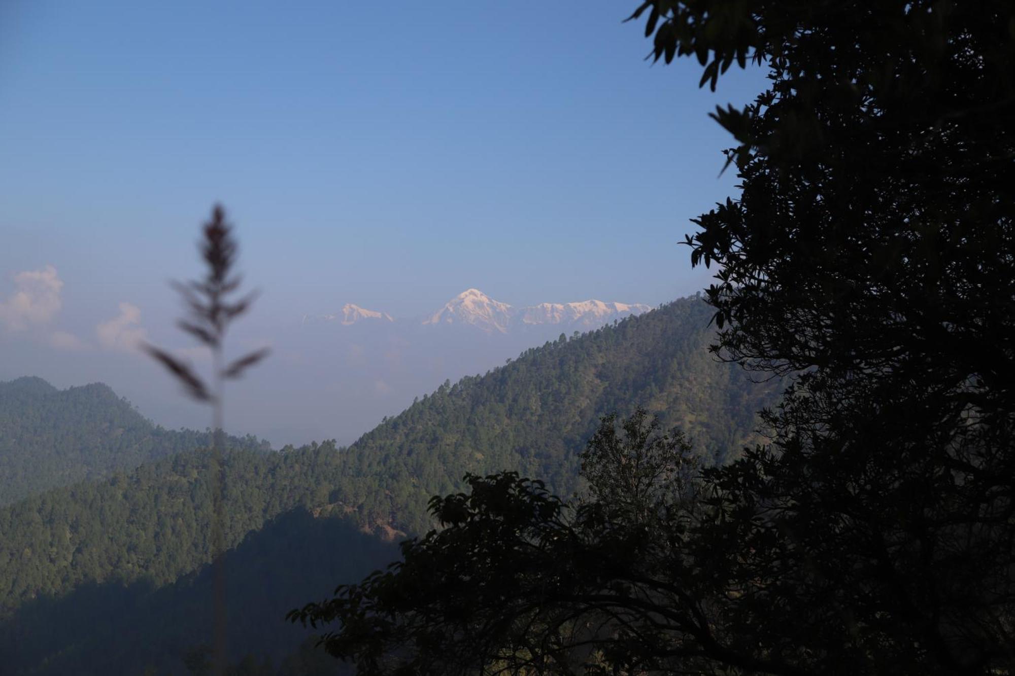 Simba Jungle Lodge, Binsar Wildlife Sanctuary Luaran gambar