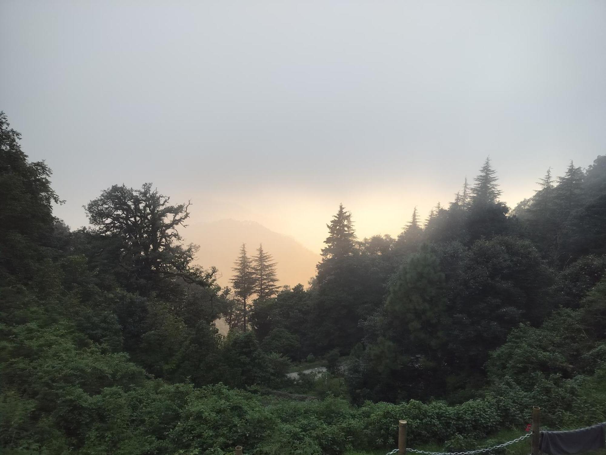 Simba Jungle Lodge, Binsar Wildlife Sanctuary Luaran gambar