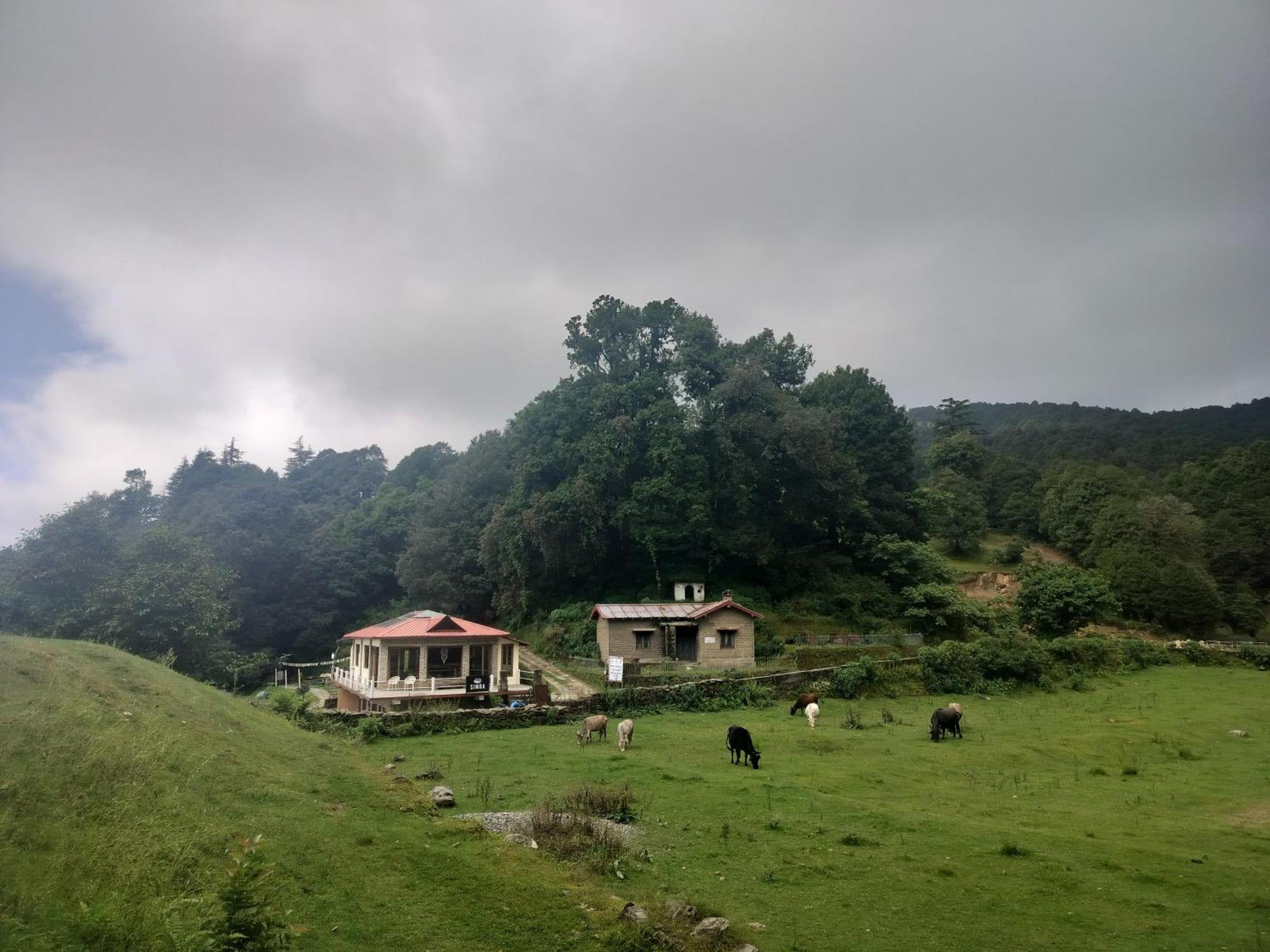 Simba Jungle Lodge, Binsar Wildlife Sanctuary Luaran gambar